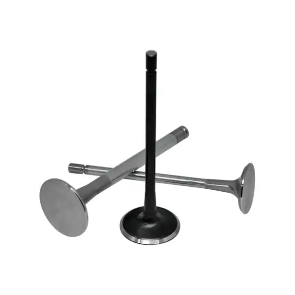 Soupapes forgées acier Peugeot 206 S16