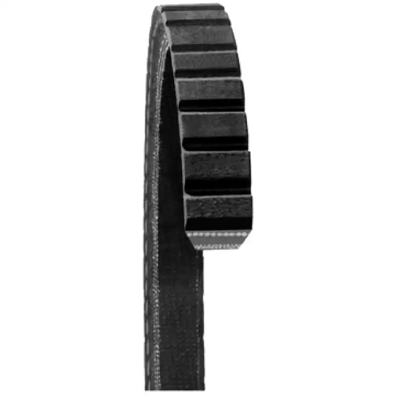 Courroie d'accessoires Dayco 15450