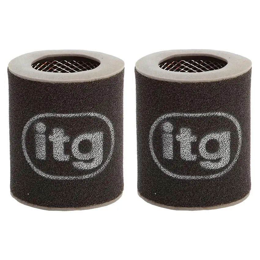 Filtre à air d'ITG pour Audi Audi A8 W12 (2 filtres)