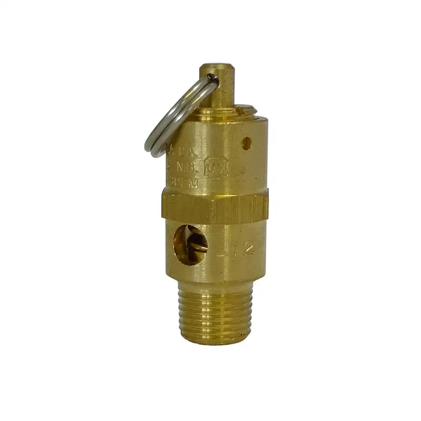 Accusump huile Accumulateur soupape de décharge