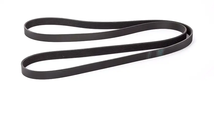 Courroie trapézoïdale pour Jaguar | 434967