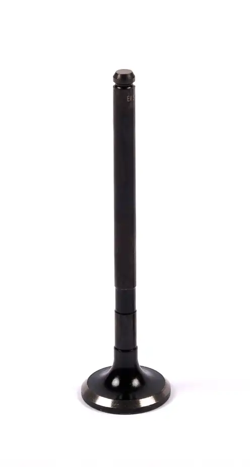 Soupape d'échappement pour MG | 360211